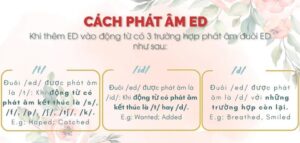 cach-phat-am-duoi-ed