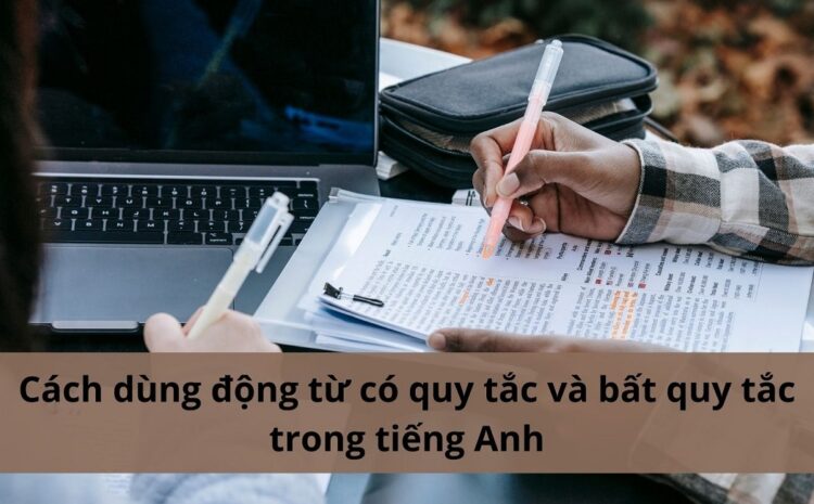 Cách dùng động từ có quy tắc và bất quy tắc trong tiếng Anh