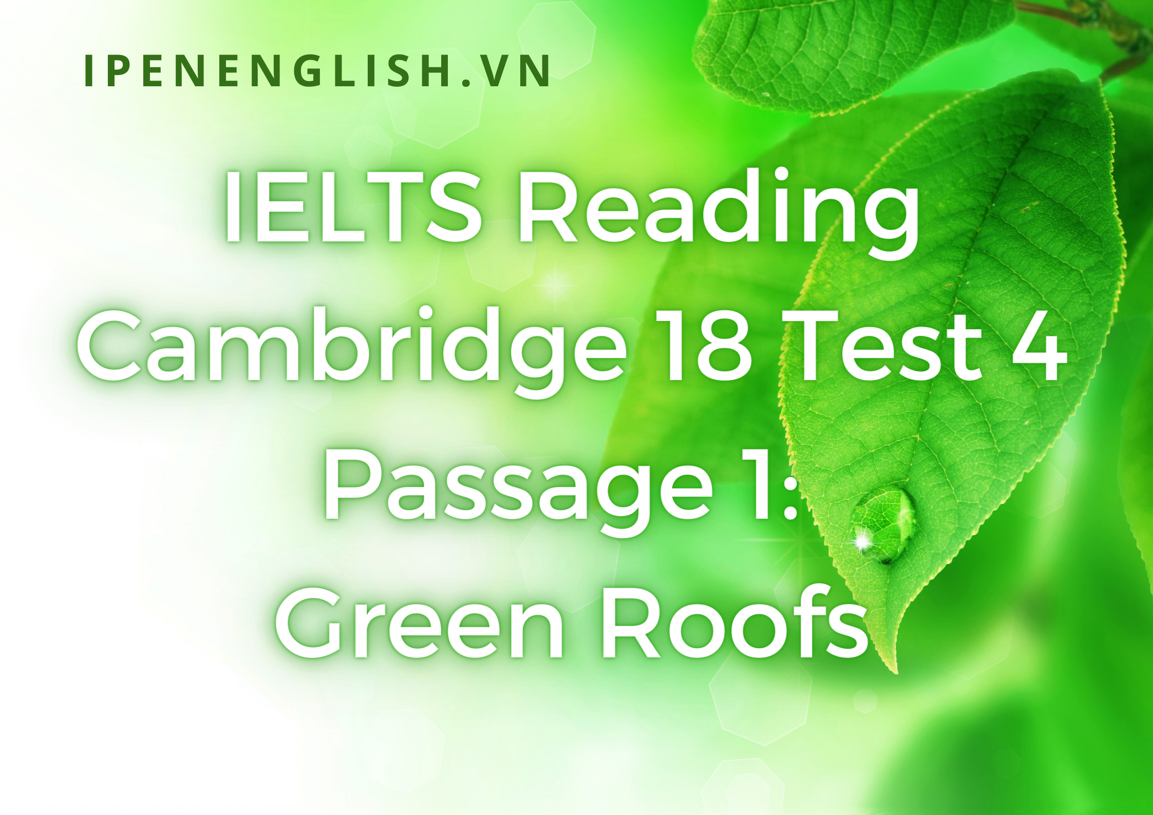 IELTS Reading Cambridge 18 Test 4 Passage 1 Green Roofs