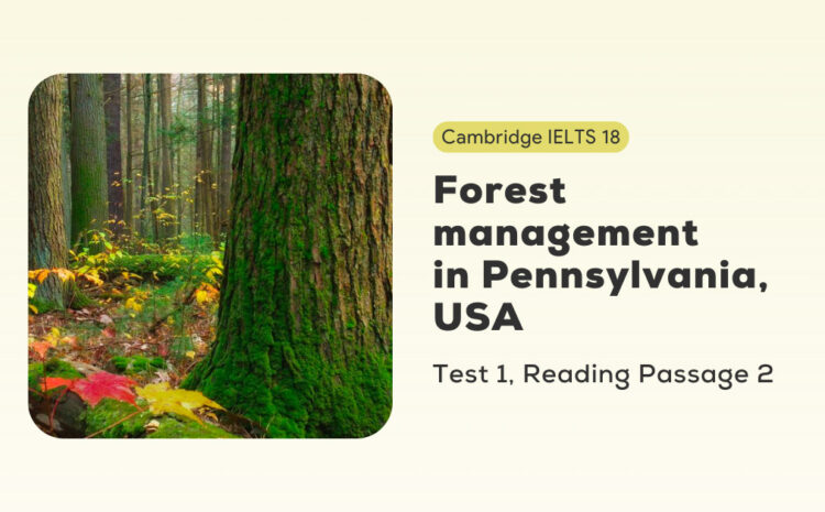 Dịch, Giải Chi Tiết & Từ Vựng IELTS Reading Cambridge 18 Test 1 Passage 2: Forest Management In Pennsylvania, USA