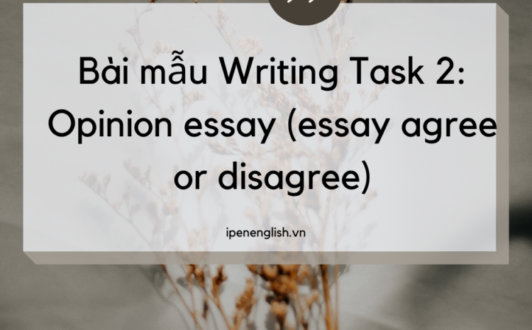 Bài mẫu Writing Task 2: Opinion essay (essay agree or disagree)