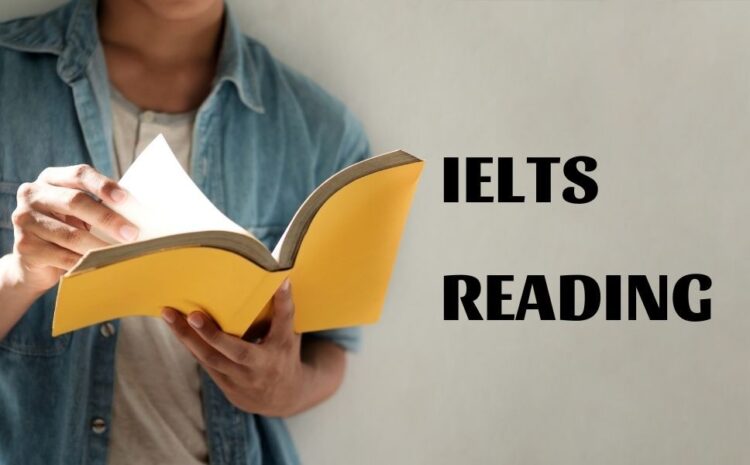 8 tips tự học IELTS Reading hiệu quả tại nhà